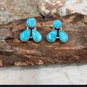 Whitewater Turquoise Sterling Silver Earrings
